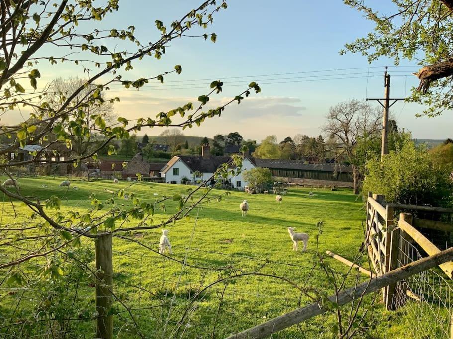 The Cart House - Beautiful Contemporary Barn - Hot Tub Leilighet Bridgnorth Eksteriør bilde